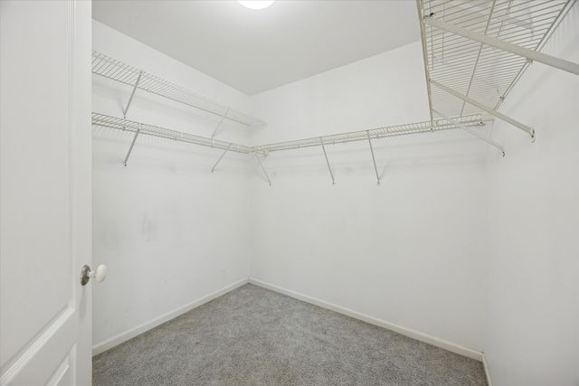 1013 Torrey Pines Court 1013, Darien, IL 60561