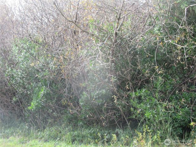 16 Driftwood Drive, Ocean Shores, WA 98569