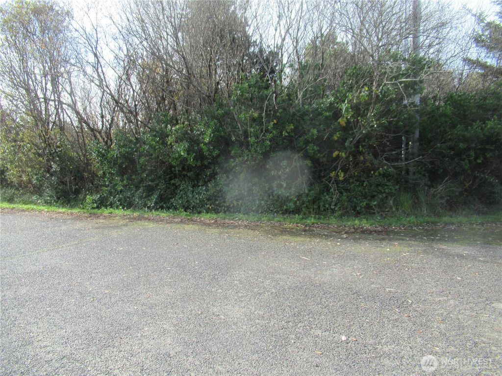 16 Driftwood Drive, Ocean Shores, WA 98569