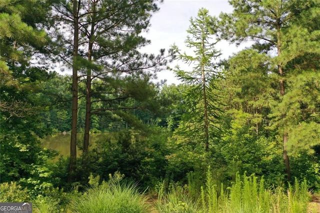 12803 Doe Drive, Milton, GA 30004