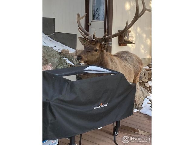 321 Greenwood Dr, Loveland, CO 80537