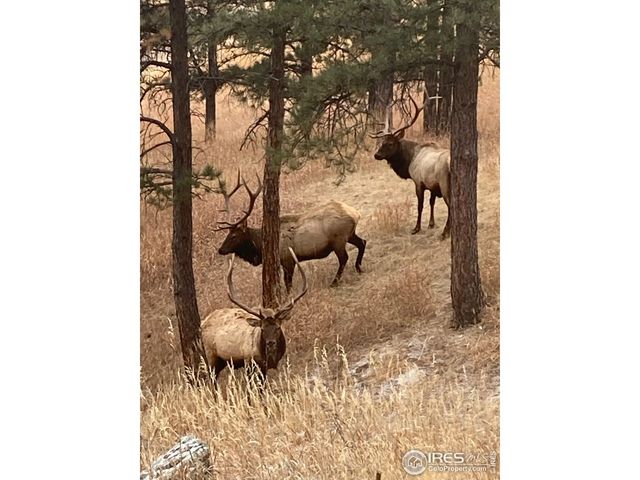 321 Greenwood Dr, Loveland, CO 80537