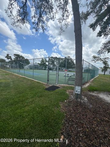 10428 Casa Grande Circle, Spring Hill, FL 34608