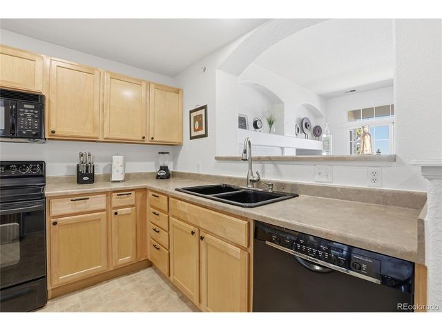 488 Black Feather Loop 219, Castle Rock, CO 80104