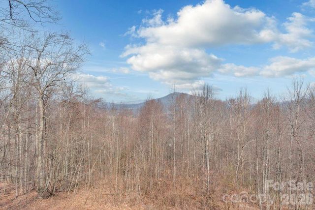 461 Arrowhead Ridge Road, Spruce Pine, NC 28777