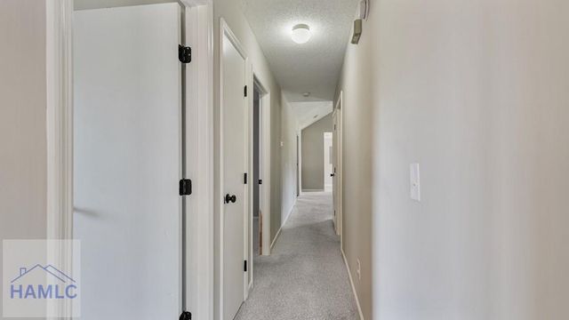803 Grove Place, Hinesville, GA 31313