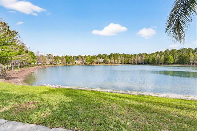 14236 OASIS COVE BLVD, Windermere, FL 34786