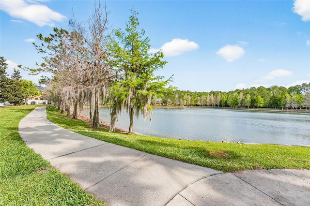 14236 OASIS COVE BLVD, Windermere, FL 34786