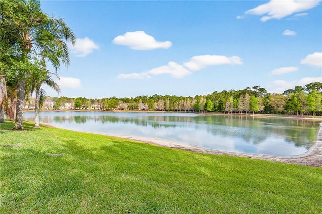 14236 OASIS COVE BLVD, Windermere, FL 34786
