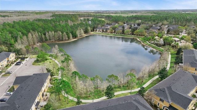 14236 OASIS COVE BLVD, Windermere, FL 34786