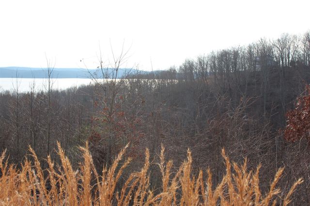 1 Golden Eagle dr, Dover, TN 37058