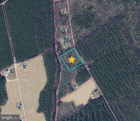 0 THICKET RD, Milton, DE 19968