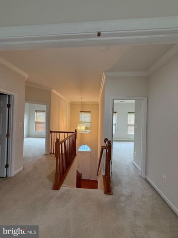 1113 WALKER DR, Fredericksburg, VA 22401