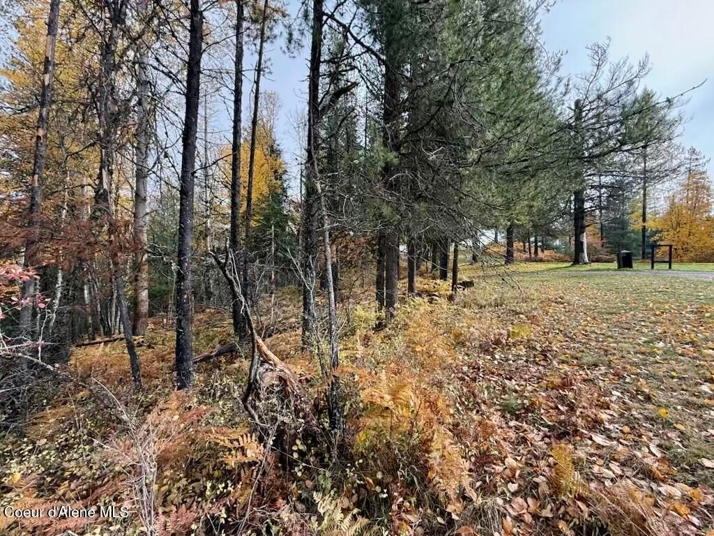 NKA Country Club Rd, Kellogg, ID 83837