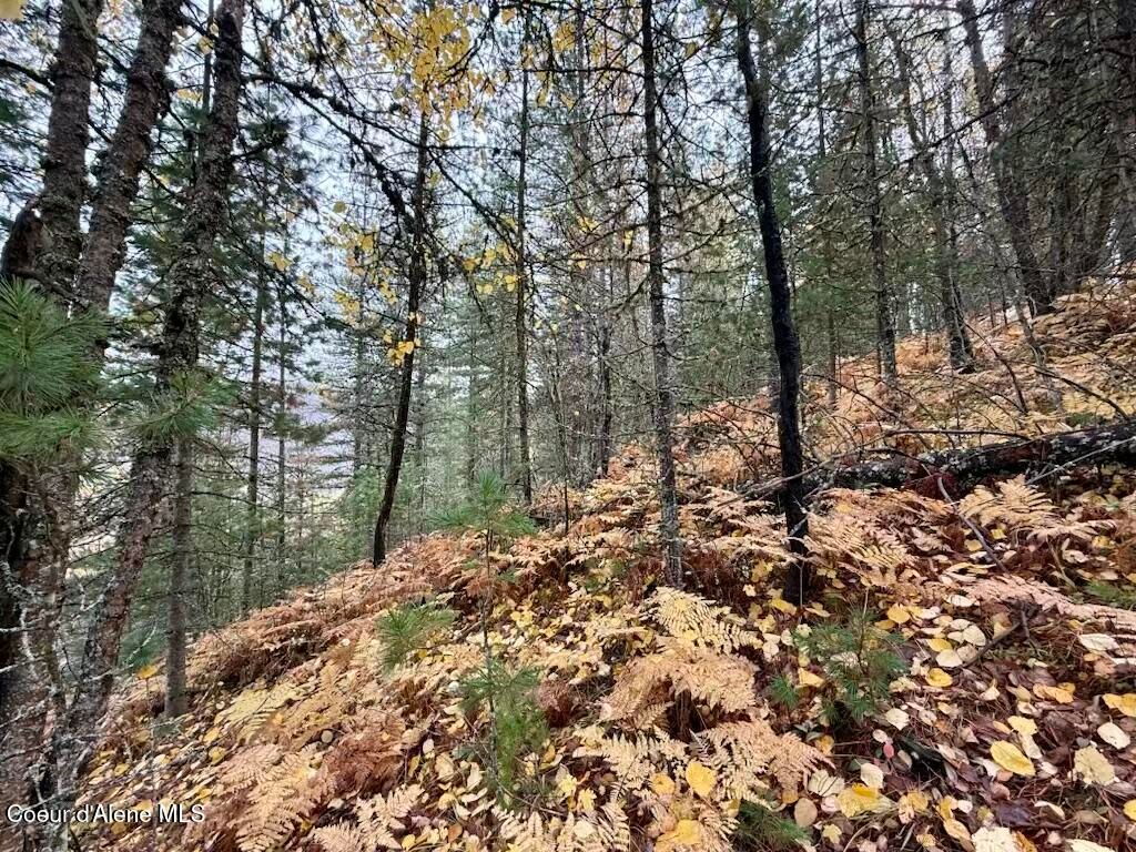 NKA Country Club Rd, Kellogg, ID 83837 photo 10