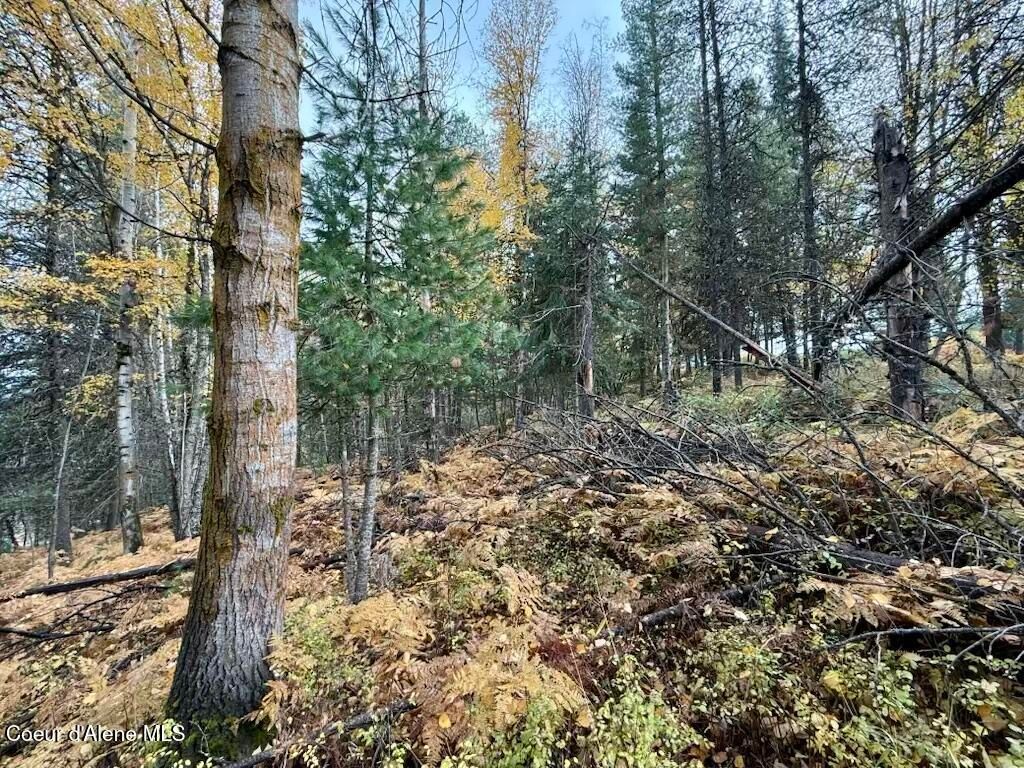 NKA Country Club Rd, Kellogg, ID 83837 photo 12