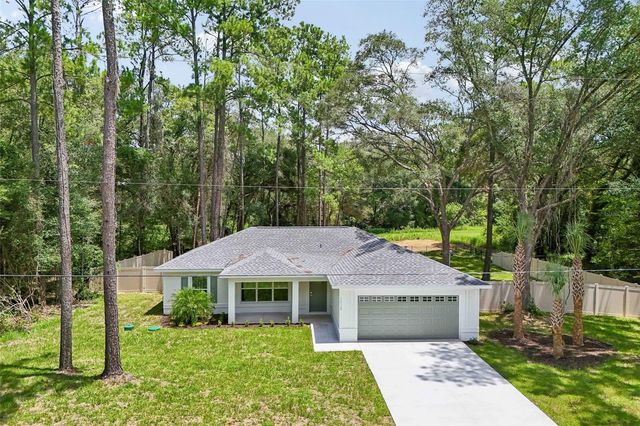 10115 N ATHENIA DRIVE, Citrus Springs, FL 34434