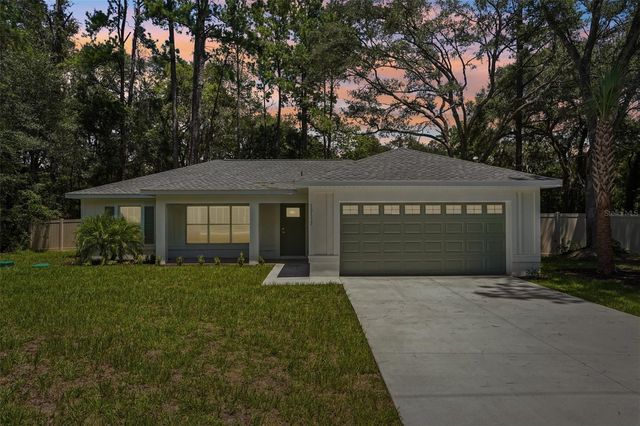 10115 N ATHENIA DRIVE, Citrus Springs, FL 34434