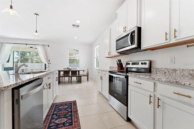 13127 BROOKSIDE MOSS DRIVE, Riverview, FL 33579