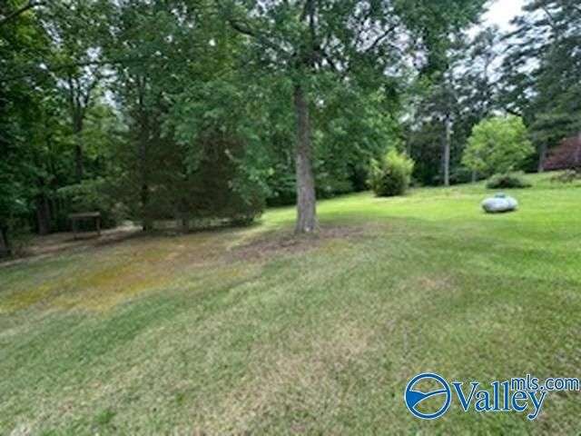 91 County Road 1165, Cullman, AL 35057