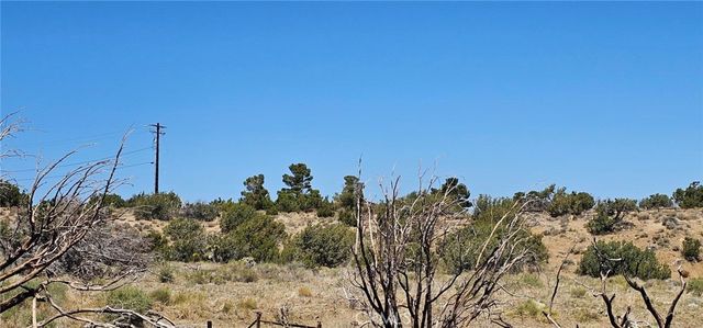0 98th Street E, Juniper Hills, CA 93543