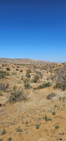 0 98th Street E, Juniper Hills, CA 93543