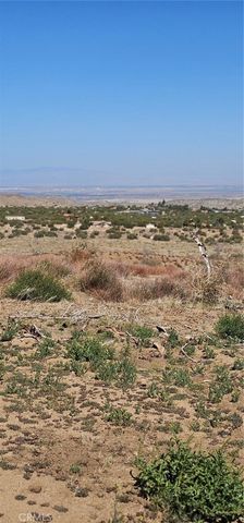 0 98th Street E, Juniper Hills, CA 93543