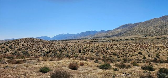 0 98th Street E, Juniper Hills, CA 93543