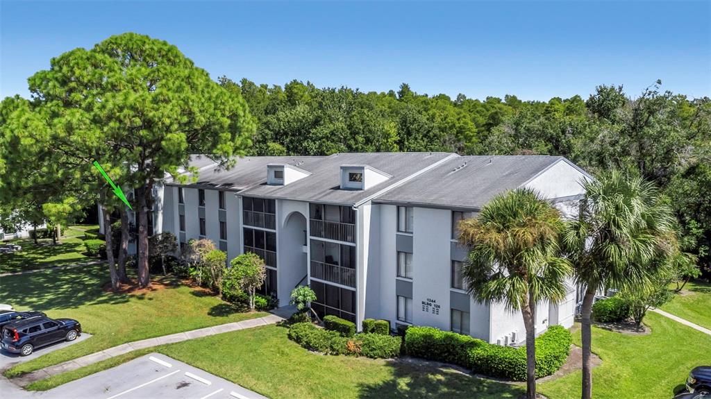 1344 PINE RIDGE CIRCLE E D2, Tarpon Springs, FL 34688