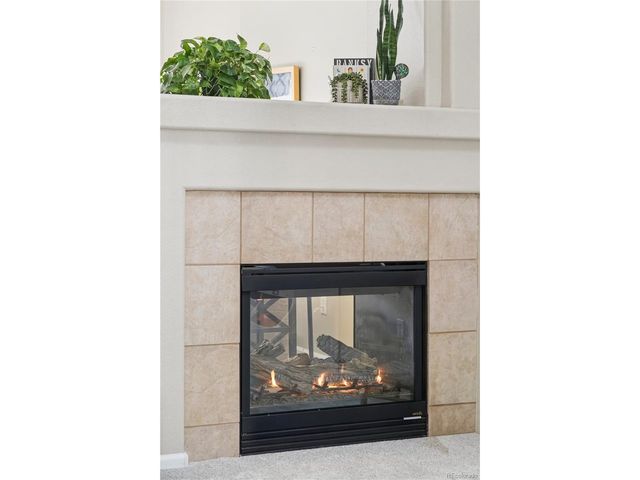 7466 S Norfolk St, Aurora, CO 80016