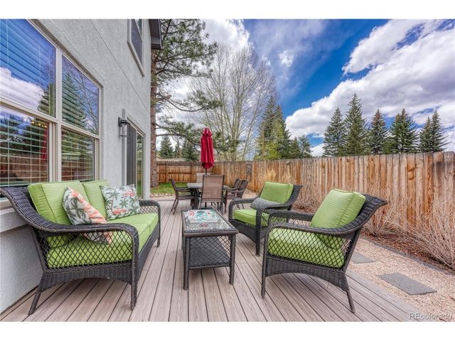 110 Chester Ave, Woodland Park, CO 80863