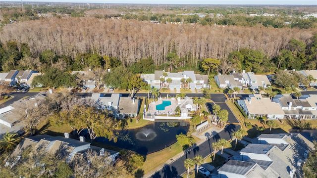 4138 BRENTWOOD PARK CIRCLE, Tampa, FL 33624