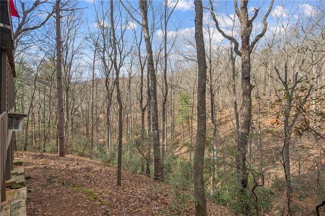 458 Tea Berry Lane, Big Canoe, GA 30143