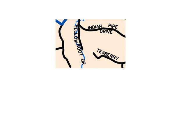 458 Tea Berry Lane, Big Canoe, GA 30143