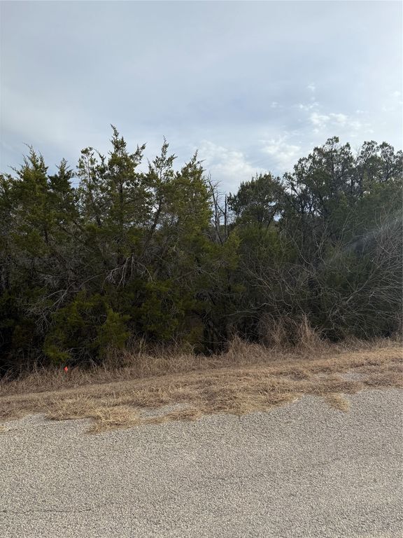 3111 Canadian River Trail, Granbury, TX 76048