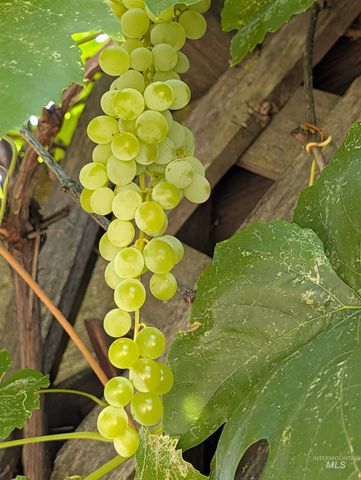 1224 E Hays St, Boise, ID 83712