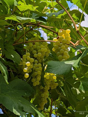 1224 E Hays St, Boise, ID 83712