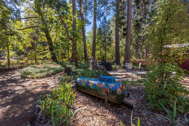 2964 Fern Ave, Camino, CA 95709