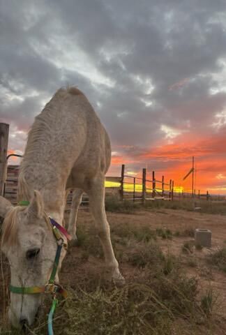 157 Jensen Lane, Belen, NM 87002