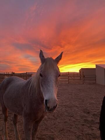 157 Jensen Lane, Belen, NM 87002