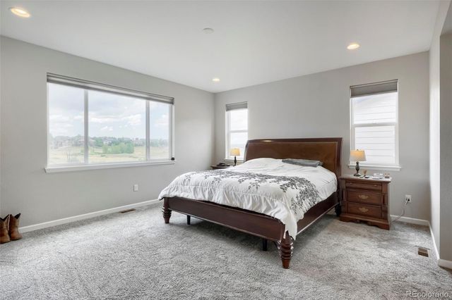 7013 Mentha Drive, Castle Rock, CO 80108