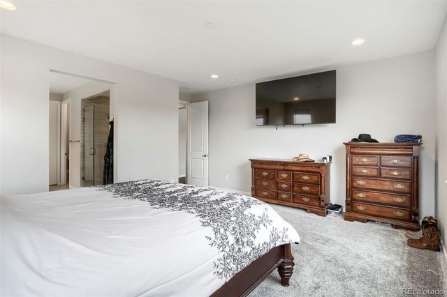 7013 Mentha Drive, Castle Rock, CO 80108