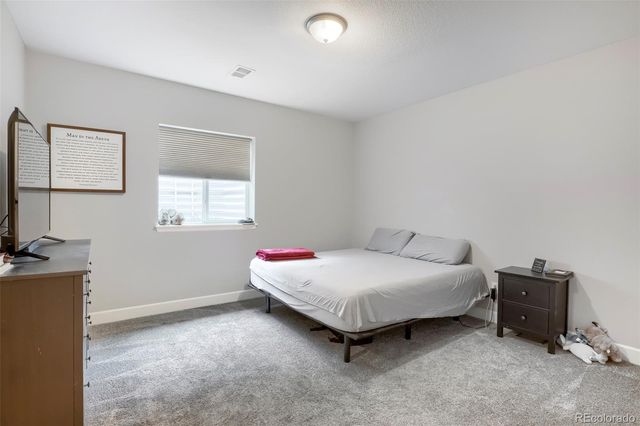 7013 Mentha Drive, Castle Rock, CO 80108