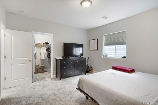 7013 Mentha Drive, Castle Rock, CO 80108
