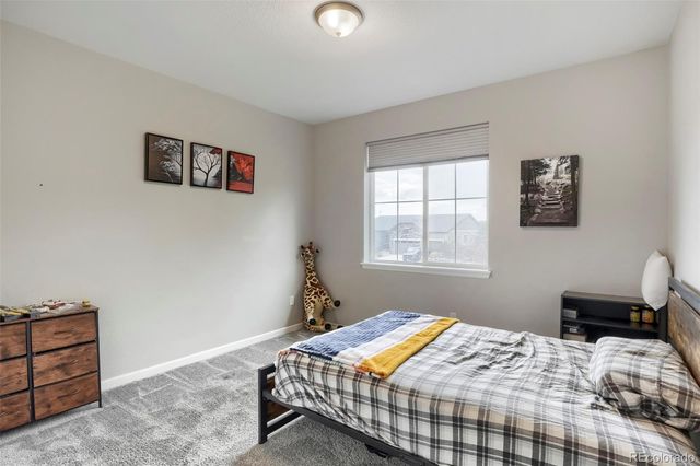 7013 Mentha Drive, Castle Rock, CO 80108