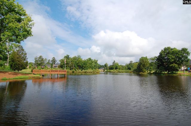 103 Lake Hilton Drive, Chapin, SC 29036