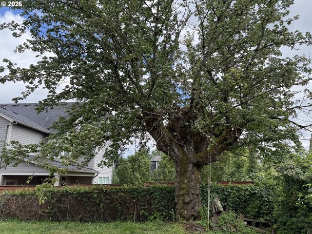 4507 N GANTENBEIN Ave, Portland, OR 97217