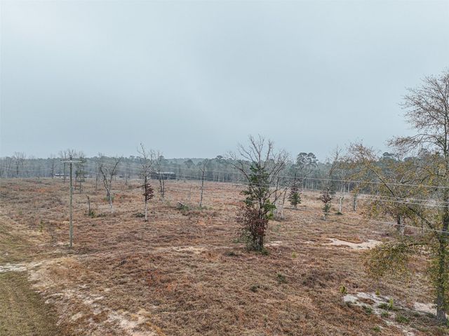 TBD Fm-3152, Livingston, TX 77351