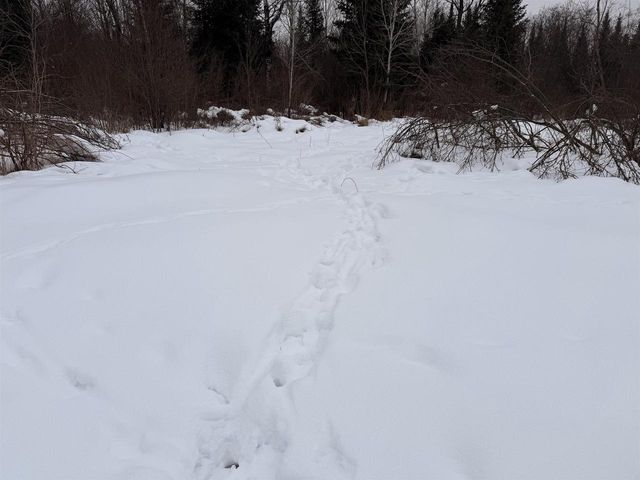 W13821 LLOYD CREEK ROAD, Gleason, WI 54435