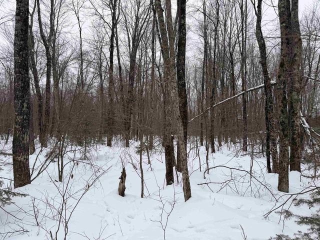 W13821 LLOYD CREEK ROAD, Gleason, WI 54435